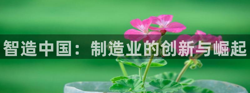 乐总105发卡平台