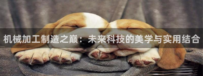 乐赚平台发圈app