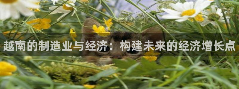 乐发体育平台怎么注册的