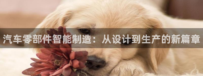 乐发安全平台邀请码
