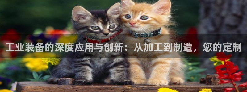 乐发平台棋牌