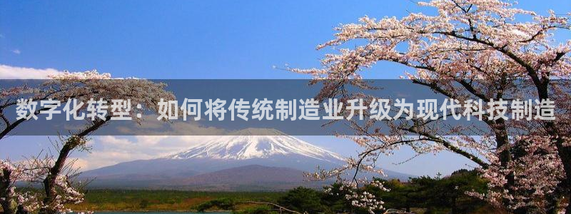 乐发平台怎么样知乎推荐