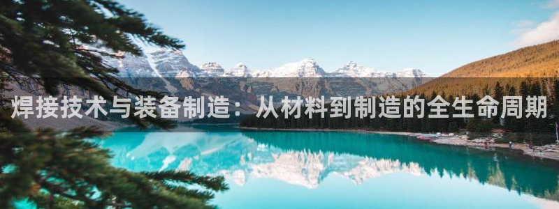 乐发平台a