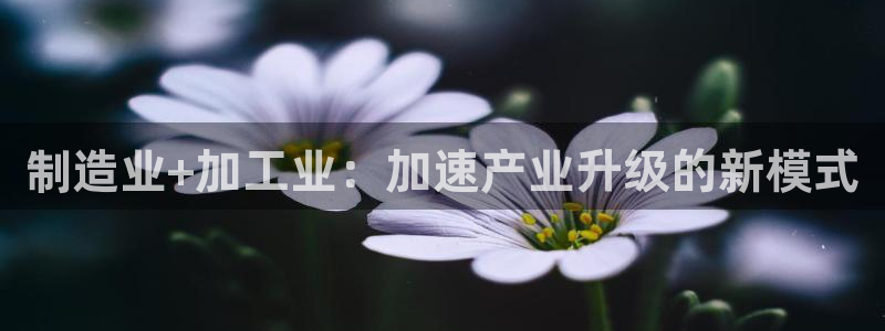 乐发彩票平台怎么样啊