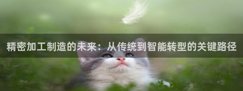 乐发彩票平台官网