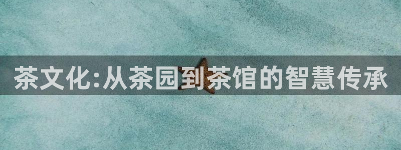 乐发平台注册流程图