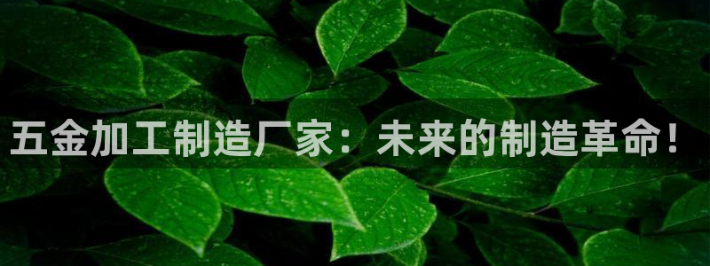 乐发ll 中彩平台