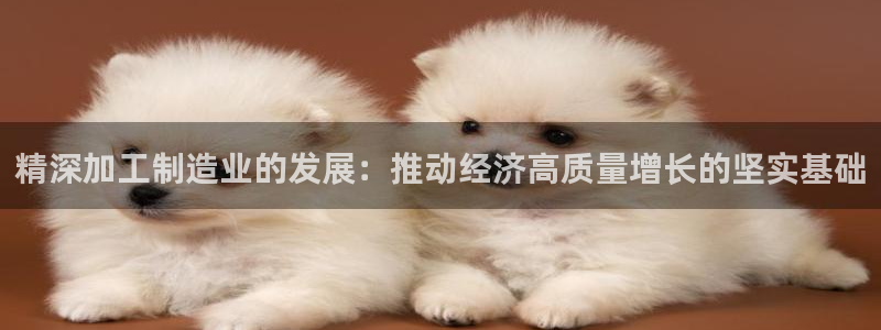 乐发ii彩票平台怎么样
