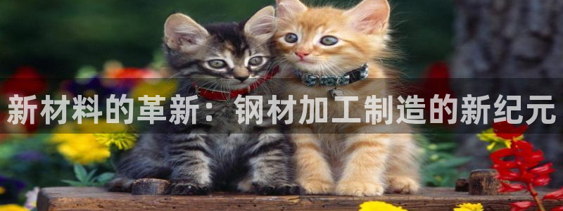 乐发彩票官网登录平台