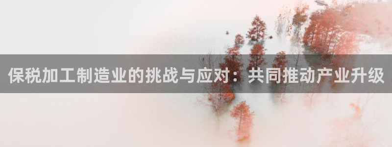 乐发500大小单双平台
