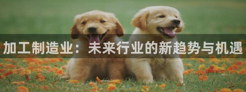 乐发平台手机版下载