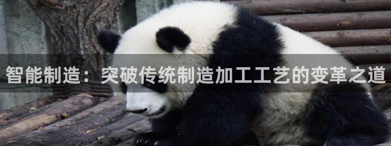 乐发Iv彩票官方平台