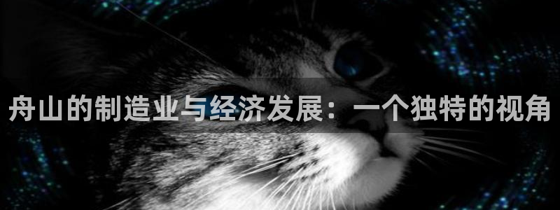 乐发v11平台怎样