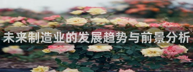 乐发彩票平台网址