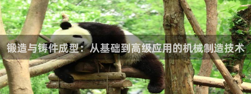 乐发平台官网