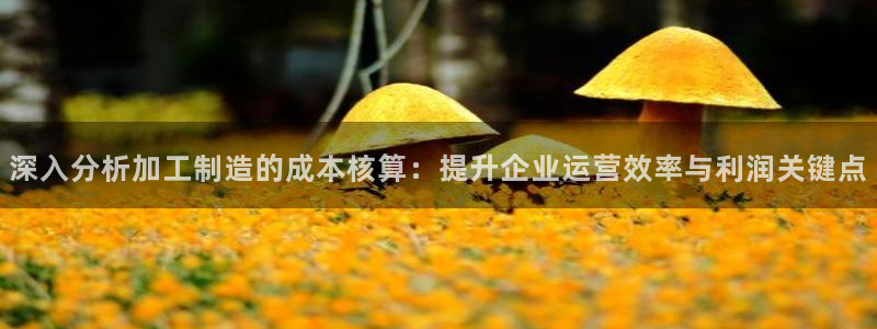 乐发vl彩票平台