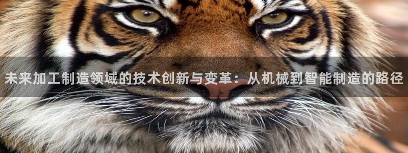 乐发ii彩票平台怎么样