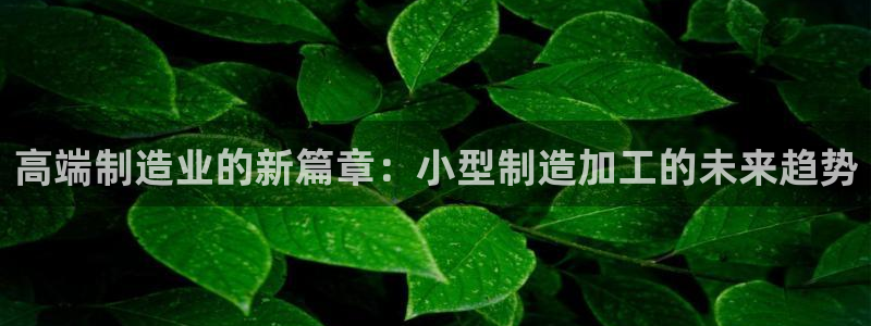 乐购平台发口罩