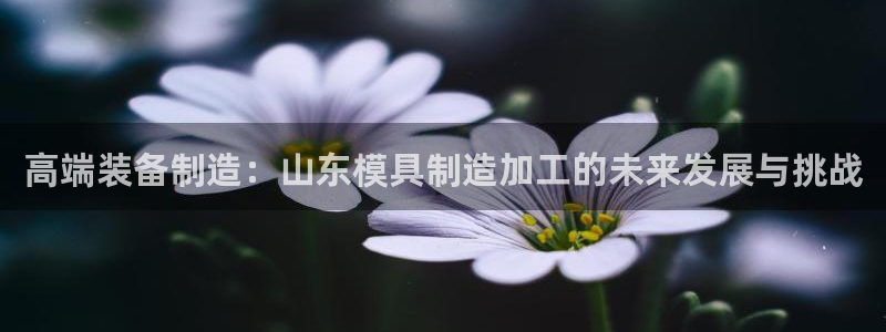 乐赚发圈平台有风险嘛