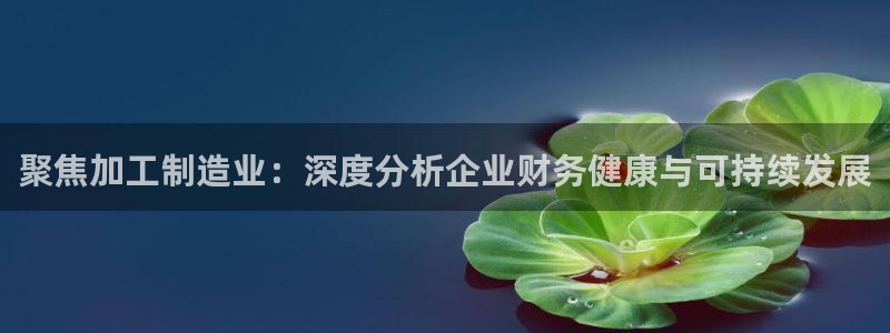 乐发500大小单双平台
