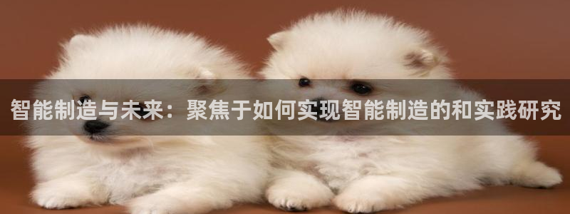 乐发II平台官方