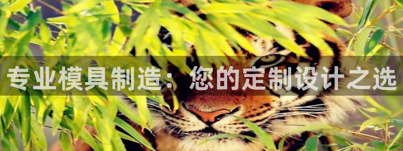 乐发彩票平台玩能赚钱吗