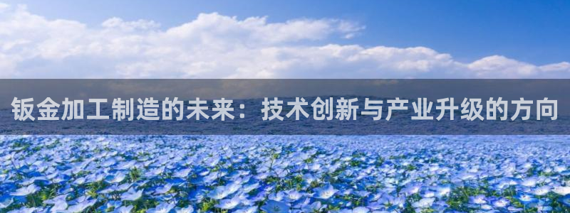 乐发1平台下载安装