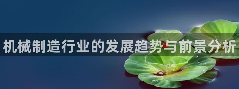 乐发1彩票平台下载