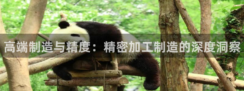 乐发彩票是黑平台吗