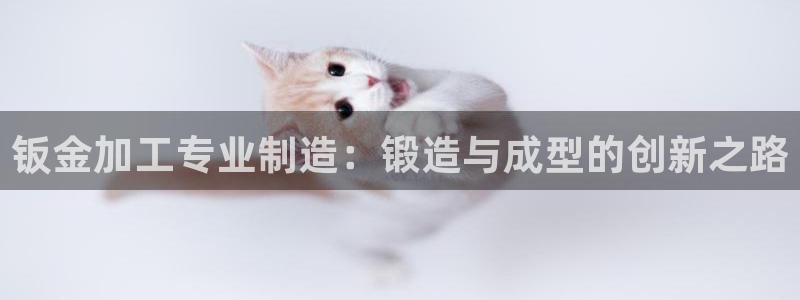 乐发平台注册流程