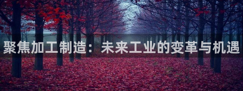 乐发平台怎么换邀请码