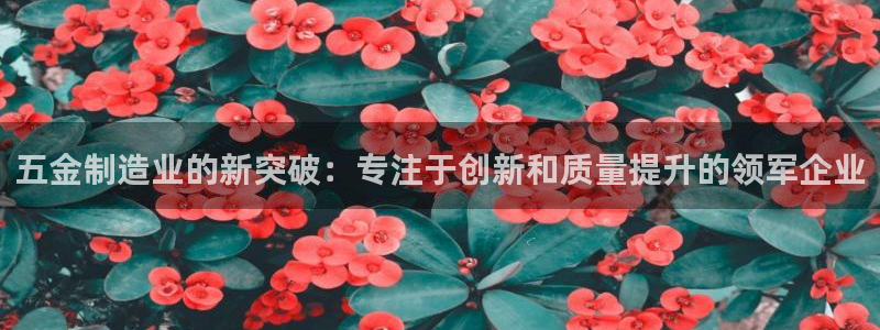 乐发平台彩票官网