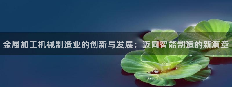 乐发平台注册资金多少亿