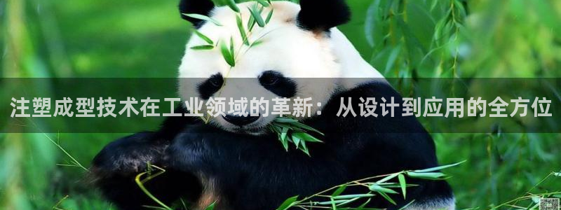 乐发是不是正规平台