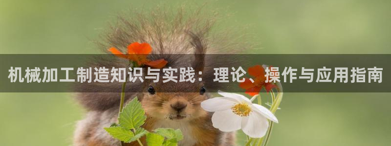 乐发平台怎么换邀请码