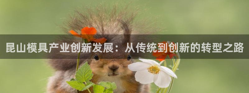 万发大平台乐透