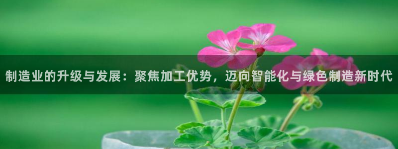 乐发lv平台真实吗