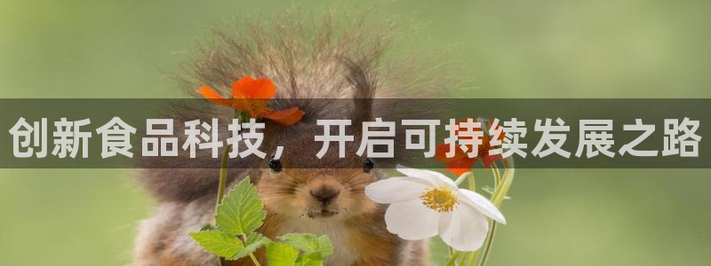 彩票大小单双平台乐发