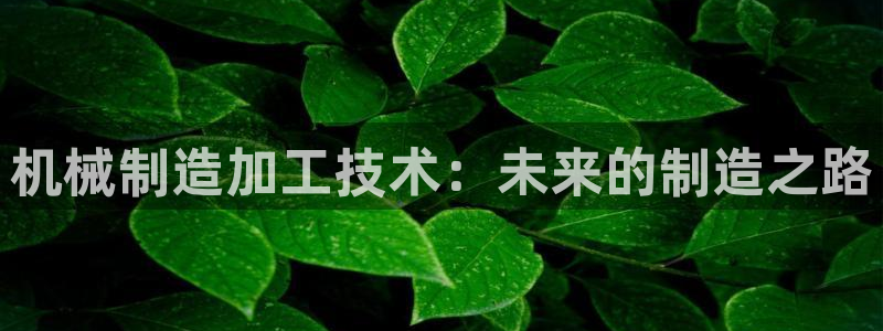 乐发III平台注册