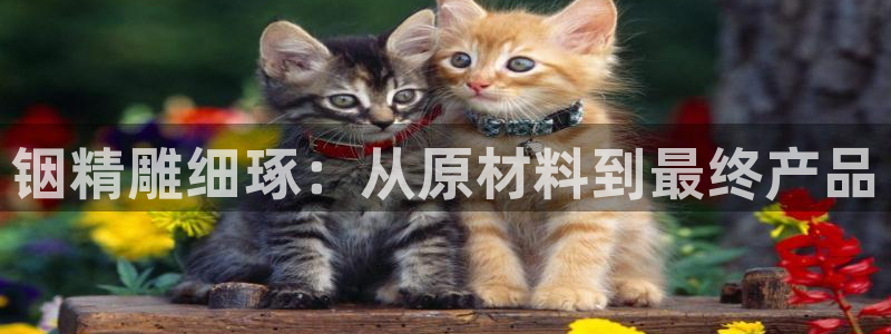 乐发国际平台怎么样