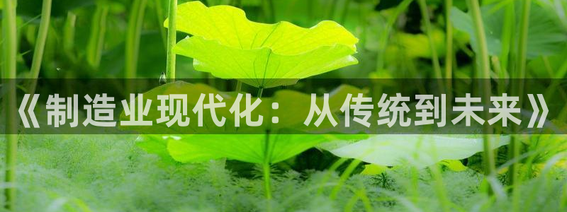 乐赚发圈平台是真的吗