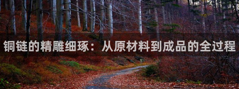 乐发平台注册流程视频