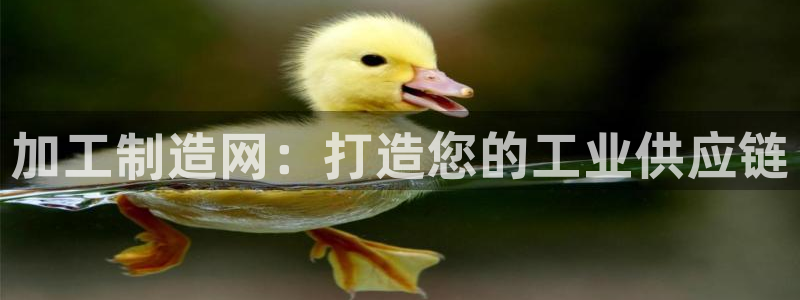 乐发茶楼团购平台官网