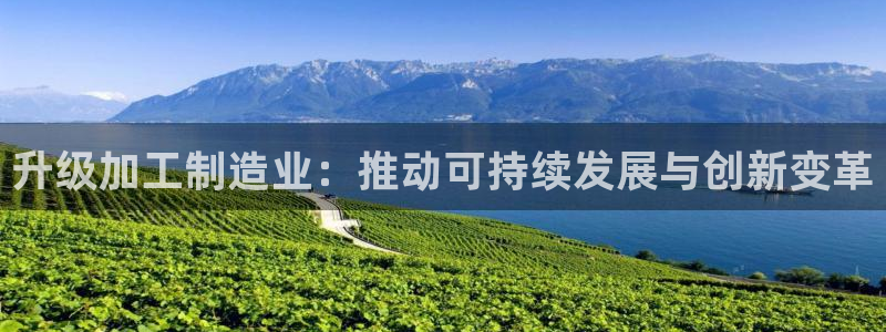 乐发彩票平台wx17 com