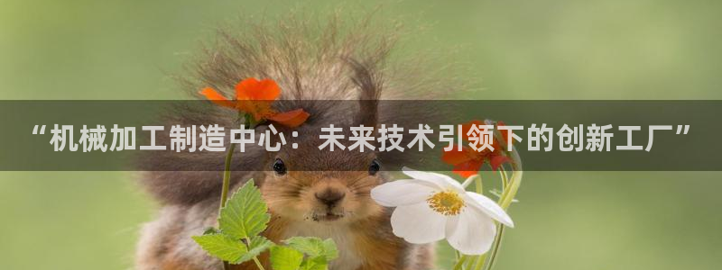 乐发彩票vll平台