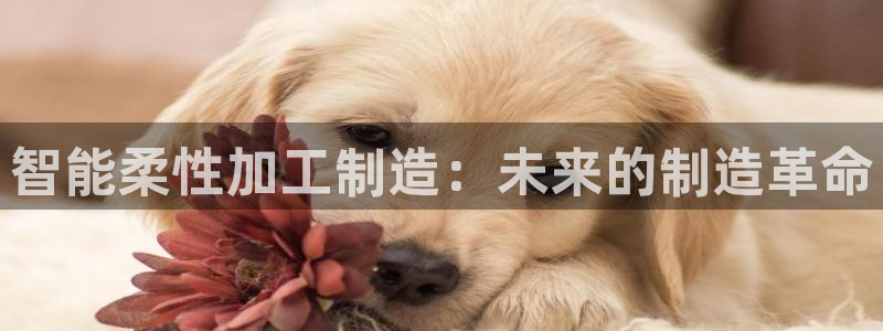 乐发平台赚钱技巧有哪些