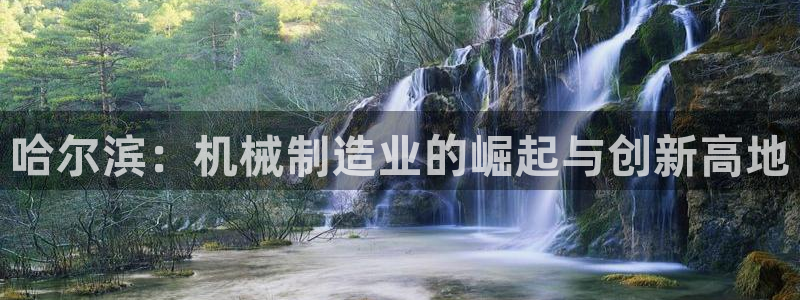 乐发v11平台怎样