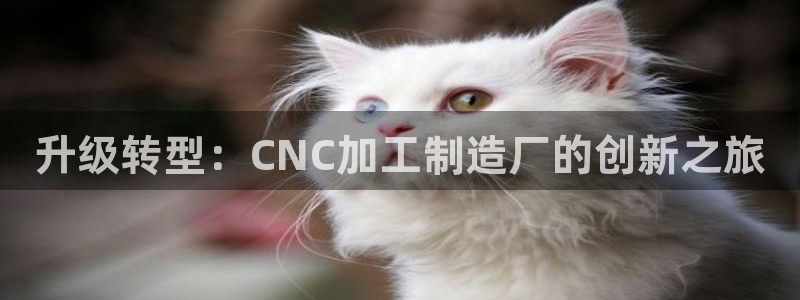 乐发平台赚钱技巧是什么