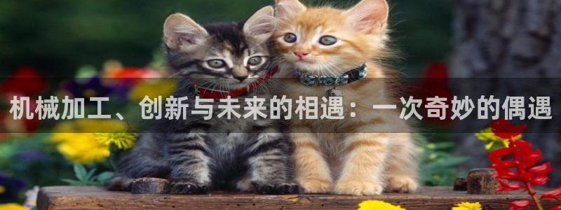 乐彩轩平台指尖发