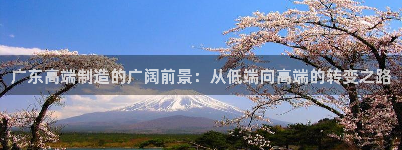 乐发平台注册地址怎么填